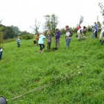 Fleißige Kinder auf der Wiese