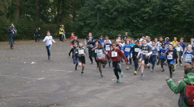 Hamburger Meisterschaften im Crosslauf