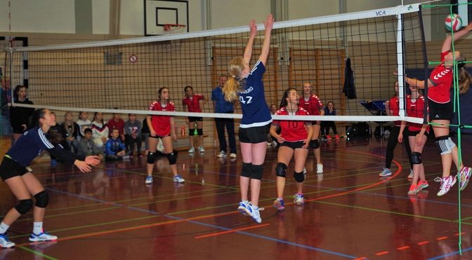 Unsere Volleyballteams in Topform