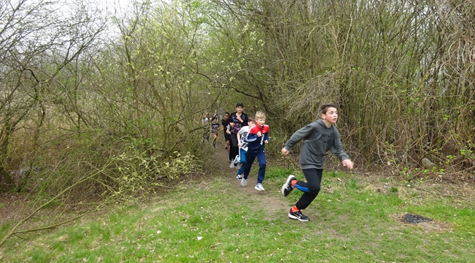 Vier neue Topzeiten beim Crosslauf