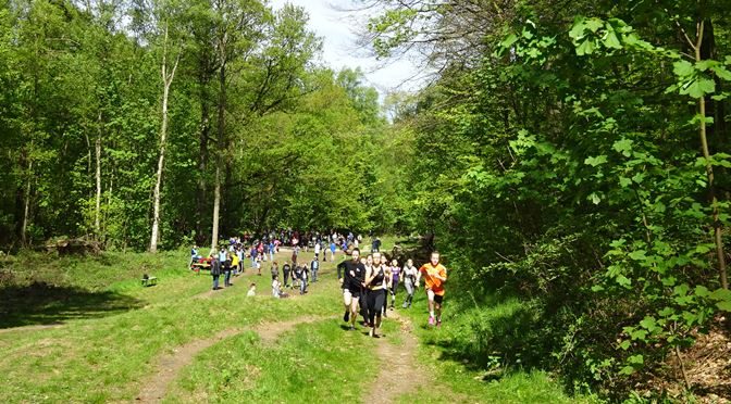 Bergedorfer Crosslauf-Meisterschaften